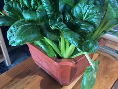 -巴渝瓦肆重庆鲜火锅(宝龙环湖店)