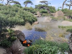 -罗红摄影艺术馆