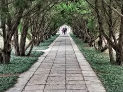 -洛阳古墓博物馆