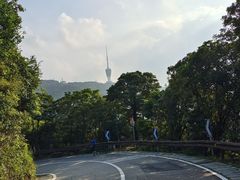 -梧桐山风景名胜区