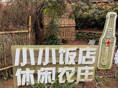 -小小饭店·休闲农庄·安吉松树林里的农家菜