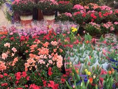 -双季花艺园艺市场(浦东店)