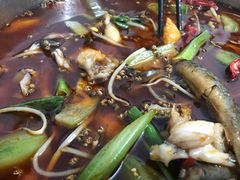 -邱氏胖泥鳅(大堰店)
