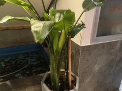 -滇铺子·云南特色菜·第九届野生菌美食节(东风东路c86店)