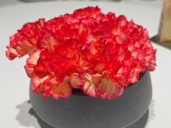 -悦融·京鲁菜·露台花园(安定门店)