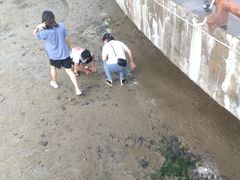 -霞山观海长廊