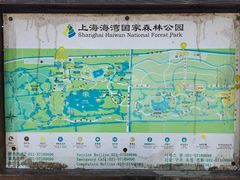 -上海海湾国家森林公园