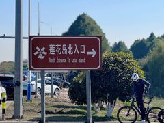 -莲花岛景区