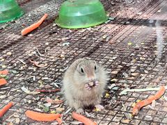 -北京鹿世界主题园