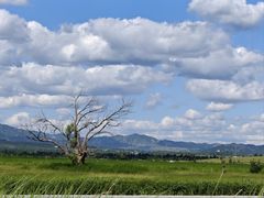 -敕勒川草原