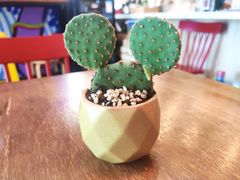 -Mesa Madre梅萨妈妈·Bintana(国贸店)