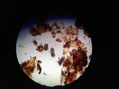 -艾贝尔宠物诊疗