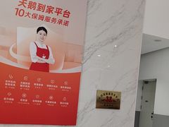 -天鹅到家·保姆月嫂育儿嫂(总店)