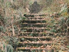 -山王坪喀斯特国家生态公园