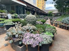 -山菌美食苑(振兴路店)