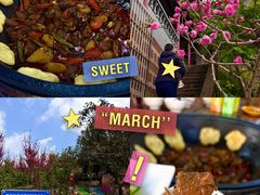 -桃源山庄·摘樱桃·柴火鸡·烧烤团建(龙泉山店)