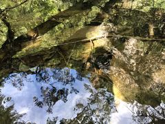 -叠溪松坪沟景区