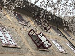 -武汉大学-樱园