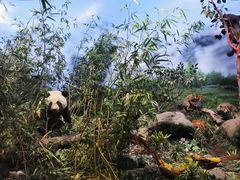 -陕西自然博物馆