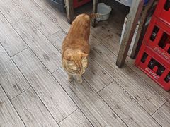 -玉华饮食店(茅台路店)