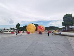 -野狸岛