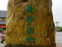 -大湾区中央湿地公园