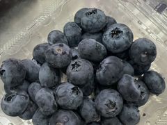 -深圳市海吉星国际农产品物流管理有限公司