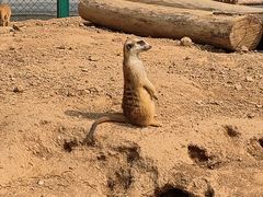 -秦皇岛野生动物园