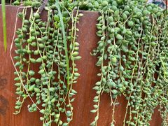 -中国天府农业博览园