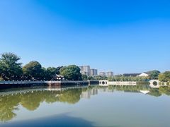 -八大山人梅湖景区