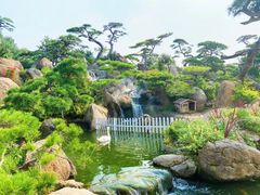 -罗红摄影艺术馆