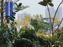 -SAANCI山池咖啡(海上世界文化艺术中心店)