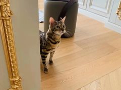 -Me Coffee下午茶艺术空间