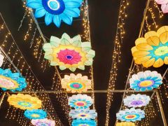 -广西壮族自治区药用植物园