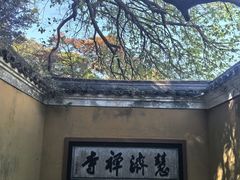 -普陀山风景区-佛顶山