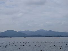 -西湖游船