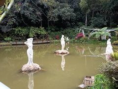 -深圳仙湖植物园
