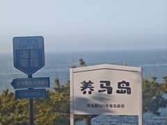 -养马岛旅游度假区