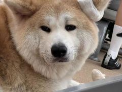 -YCHL Studios健身工作室(市二宫店)