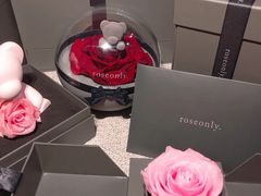 -ROSEONLY诺誓(国际广场购物中心店)