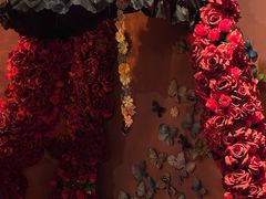 -佳乐家(新华店)