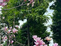 -广州珠江公园
