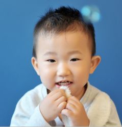 叼兔子耳朵的瞬间，不错吧！-小熊饼干专业儿童摄影