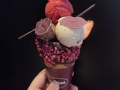 -哈根达斯(西安高新店)