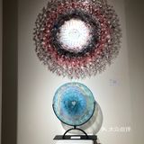 威尼斯双年展深圳湾分会场?