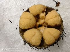 -鲜得莱渔港·小平岛海胆馆(七贤岭店)