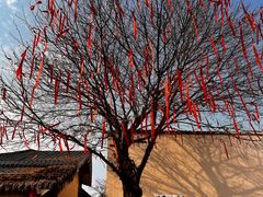 -国际非物质文化遗产博览园