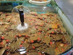 -和源祥·日照菜扛把子(万平口一店)