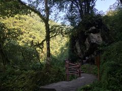 -西岭雪山大飞水景区