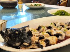 古法蒸龙胆鱼-奕景海鲜酒家· 大连海鲜(星海广场店)